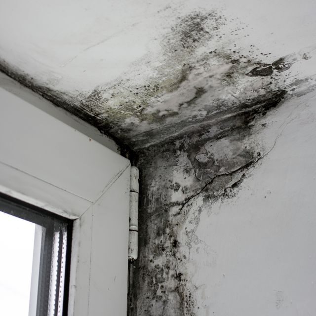 photo blog 2 compressed